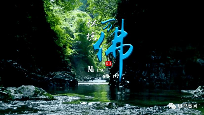 事关人质和加沙局势！美以两国领导人再次通话