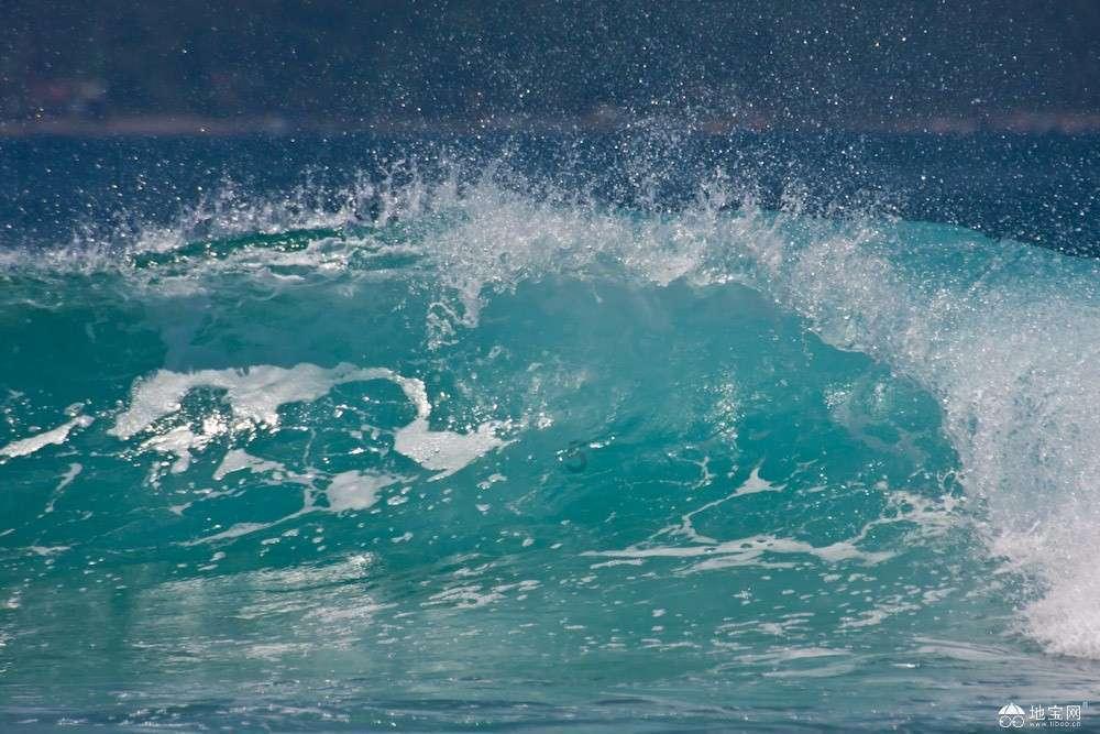4项自我检查测试抗病能力